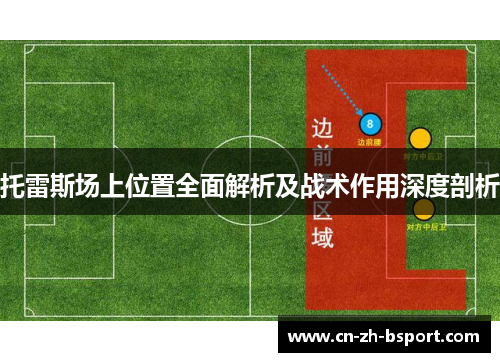 托雷斯场上位置全面解析及战术作用深度剖析