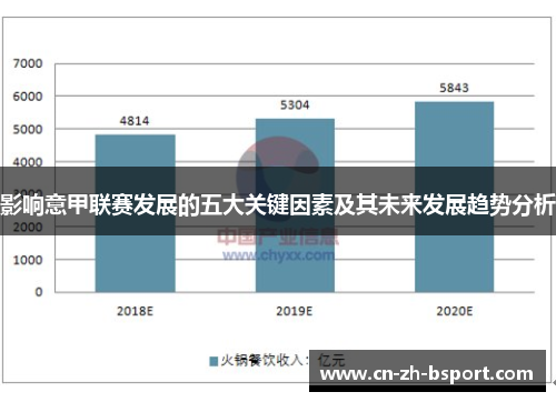 影响意甲联赛发展的五大关键因素及其未来发展趋势分析