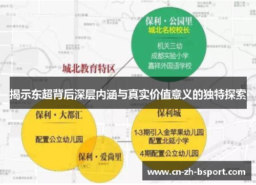 揭示东超背后深层内涵与真实价值意义的独特探索 揭示东超背后深层内涵与真实价值意义的独特探索