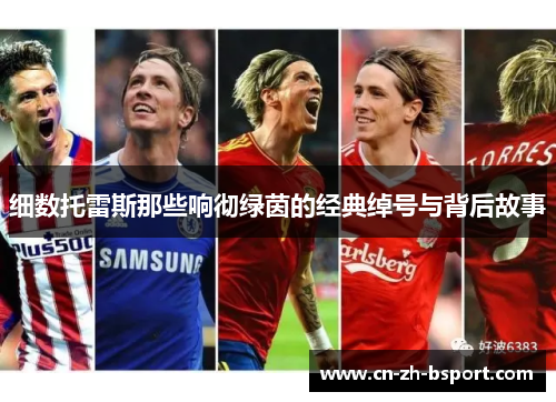 细数托雷斯那些响彻绿茵的经典绰号与背后故事 细数托雷斯那些响彻绿茵的经典绰号与背后故事