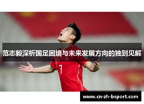范志毅深析国足困境与未来发展方向的独到见解