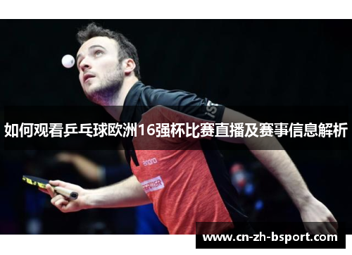 如何观看乒乓球欧洲16强杯比赛直播及赛事信息解析