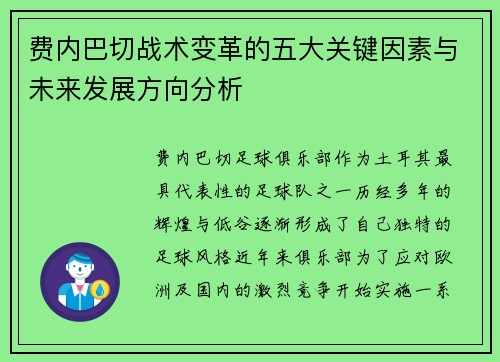 费内巴切战术变革的五大关键因素与未来发展方向分析