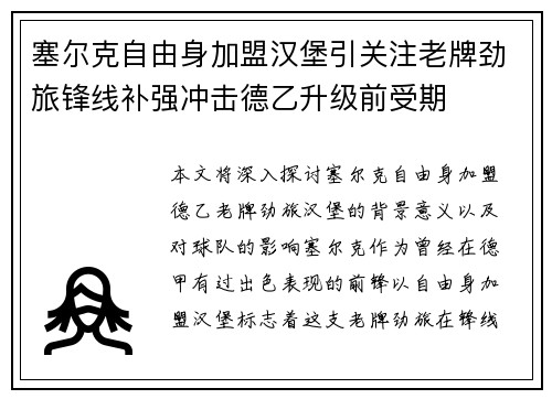 塞尔克自由身加盟汉堡引关注老牌劲旅锋线补强冲击德乙升级前受期